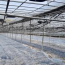 무럭이농장 이미지