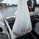 대평약국 | 제주 서귀포 배낚시 체험 난드르호 애견동반 여행 놀거리