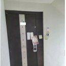 행목리 Daum카페