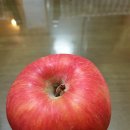 아리바우농장 이미지