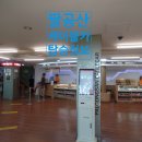 팔공산 케이블카 탑승 정보 와 하늘정원 바람 맞아본 후기