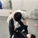 액션리액션주짓수팀 네이버블로그