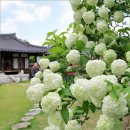 8/1~2일/여름 피서여행 떠나요 지리산 칠선계곡으로 별찾는 밤과 캠핑감성 이미지