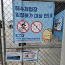 시흥 배곧 한울공원 해수 체험장 해수풀장 가성비 좋은 물놀이 체험 후기