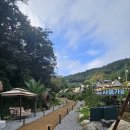 피자정 | 용인 애견카페 _ 정그리다 피자 스파게티 베이커리 후기