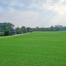 국제세탁프라자 이미지