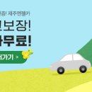 주식회사 제주엔젤렌트카 이미지