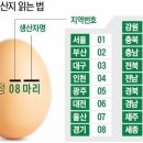 지현농장 이미지