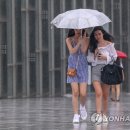 소나기성인용품 이미지