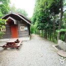 국립천관산자연휴양림 Daum카페