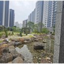 대원꿈에그린공인중개사사무소 이미지