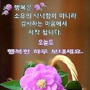 피박 준비 됐씨유~ 이미지