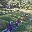 영락공원 이미지