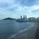 상운농장 이미지