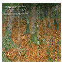 274회 정기연주회 | 슈트라우스와 코른골트가 그려내는 낭만의 선율’/전주시립교향악단, 제274회 정기연주회 개최