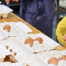 백운농장 이미지