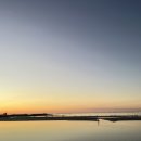 선우수산