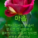 무탈이 행복이다 이미지