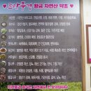 내뜨란