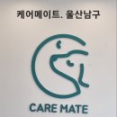 주식회사 블루하이 이미지