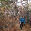 산장광장 이미지