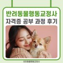 반려동물행동교정사 자격증 취득 후기(+공부 과정)
