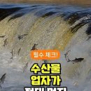 절대로 먹지 말자는 회 이미지