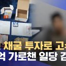 "코인 채굴 투자로 고수익"... 7억 가로챈 일당 검거 이미지