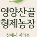 귀순농장 네이버블로그