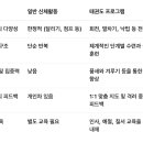 태양태권도장 이미지