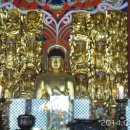 상주 남장사 철조비로자나불좌상 이미지