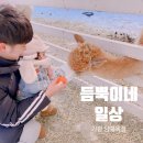 영아목장 이미지