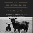 보물섬 인력