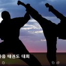 호국태권도체육관 이미지