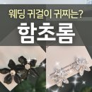 함초롱 | 웨딩 귀걸이 함초롬 핸드메이드악세사리 귀찌 실착 후기