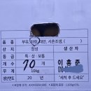 장성단감