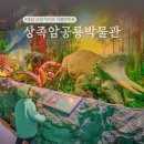 이기대공원(공룡발자국 앞) | 경남고성 공룡박물관 발자국 상족암군립공원 아이와 가볼만한곳