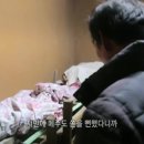 지토농장 이미지