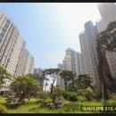 배다리초중통합학교 이미지
