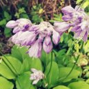 한농한의원 이미지