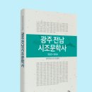 광주전남시조문학사- 광주전남시조시인협회 엮음 이미지