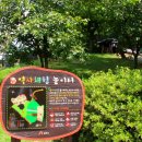 한옥마을 놀이터 이미지