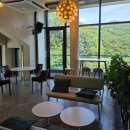 유정1955 이미지