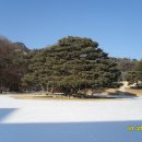 청화대 이미지