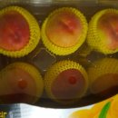 유나네농원 이미지