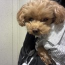 24시 봉담동물의료센터 이미지