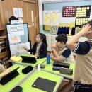 대구교육대학교안동부설초교 이미지