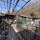 붐비네식당 이미지