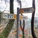 비봉산 의곡사 위(봉황숲) | 진주 선학산 - 비봉산('24. 12. 15)