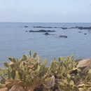 보담애월 이미지